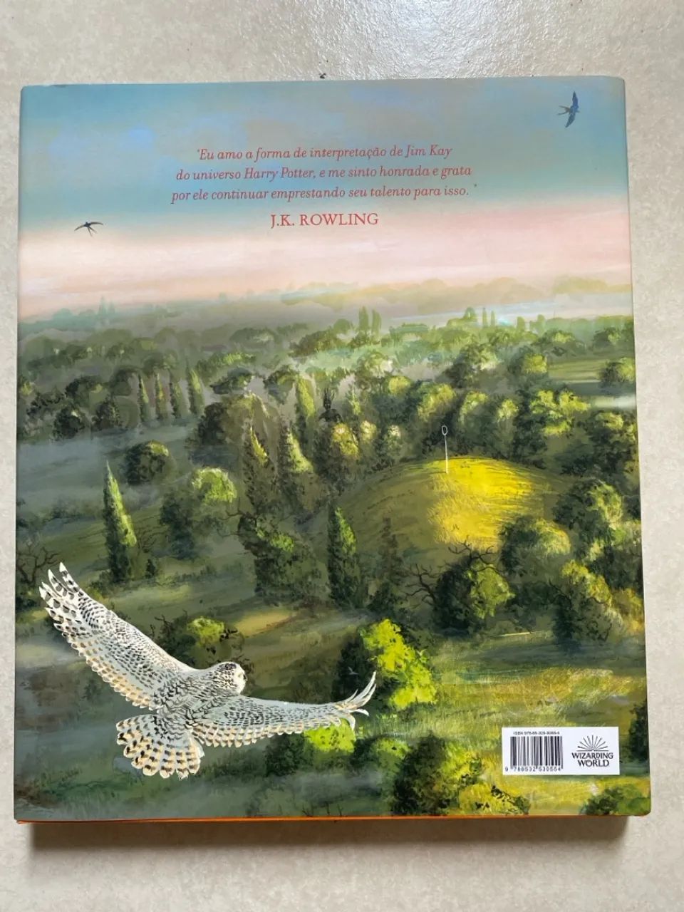 Harry Potter e a Câmara Secreta - Edicão ilustrada - Foto 2