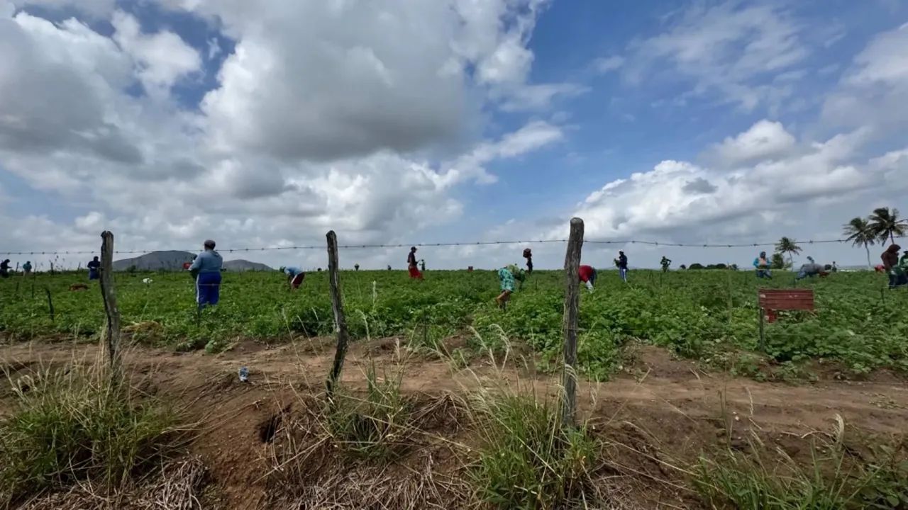 Chácara Para venda com estrutura para aluguel e bem completa. - Foto 3