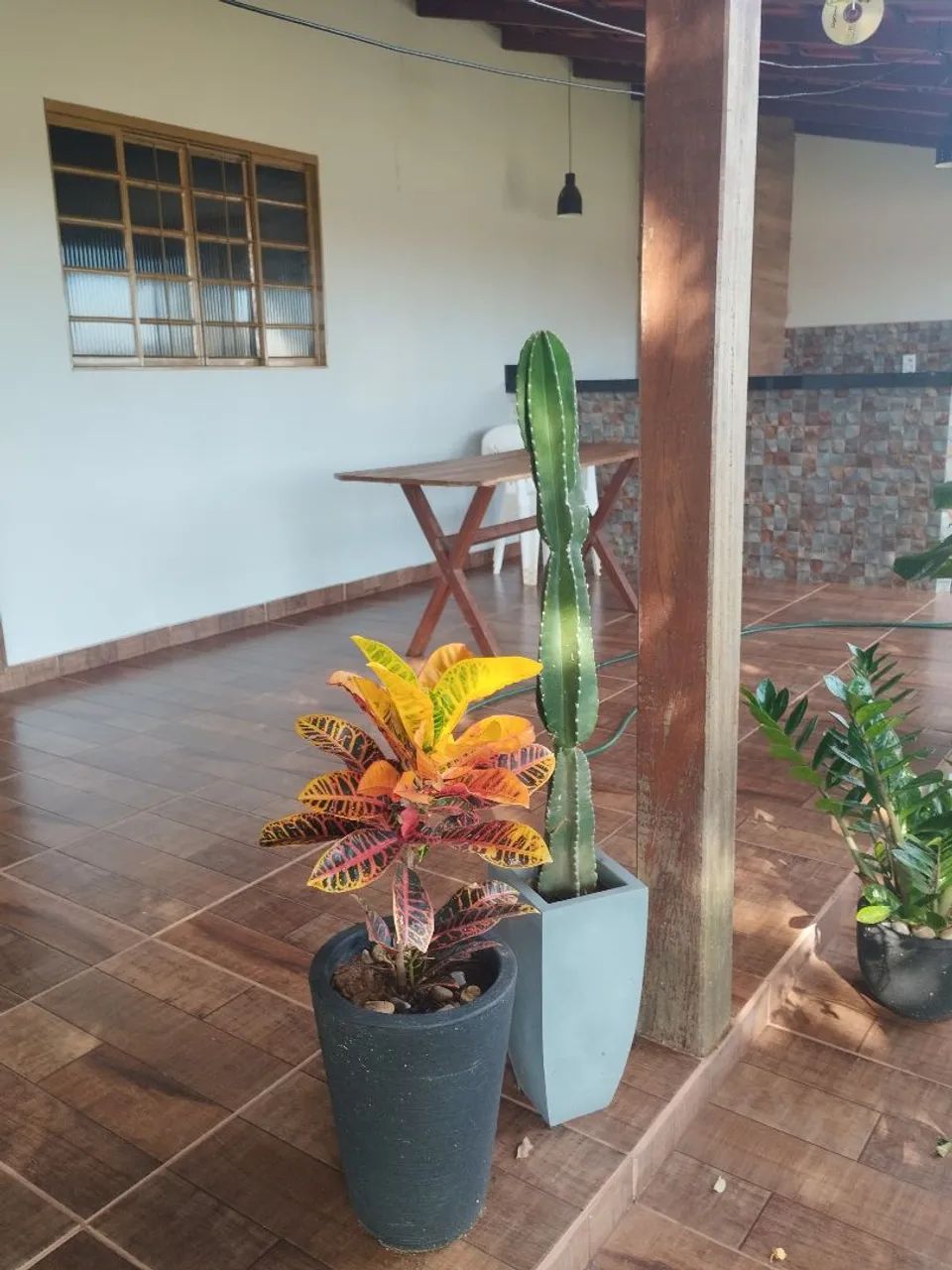 COSTELA DE ADÃO  - Foto 6