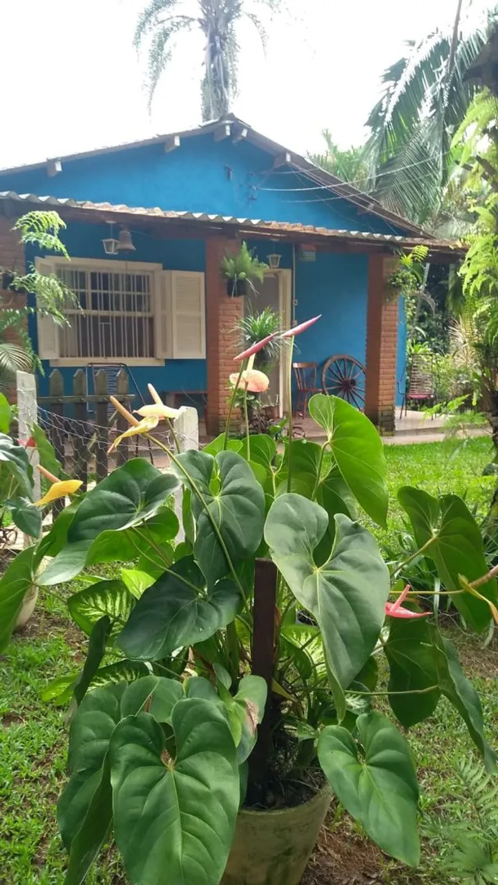 Vendo Sítio Com Piscina e 2 Casas Várias Plantas Frutíferas Pedro de Toledo