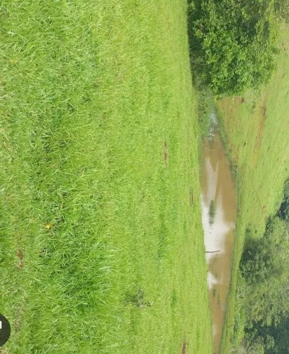 2,3 HC com represa em Arraial dos Afonsos  - Foto 2