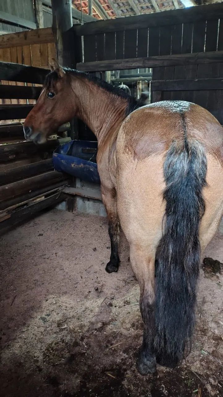 Vendo ou troco - Foto 4