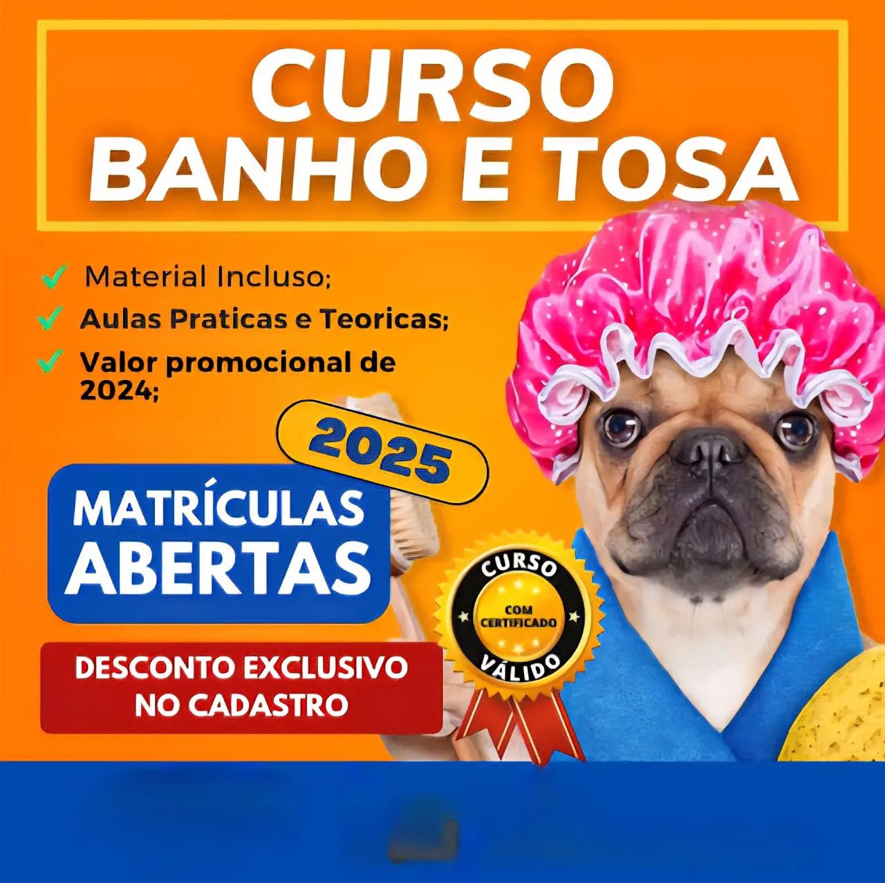 Cursos profissionalizantes de banho e tosa completo com apostilas, estágio e certificado 