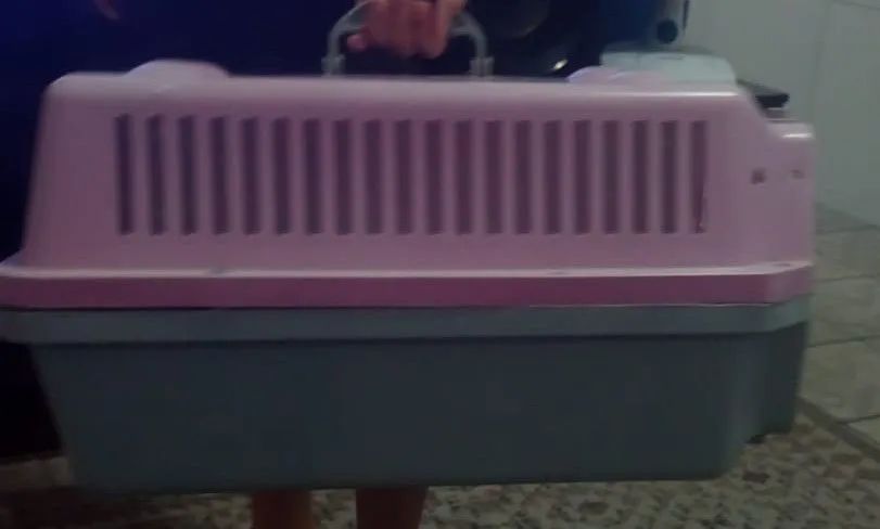 Caixa de transporte para animais de estimação PROMOÇÃO  - Foto 2