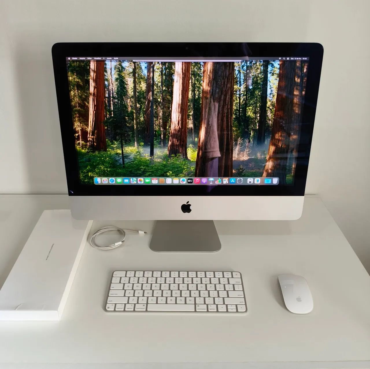 iMac 21.5