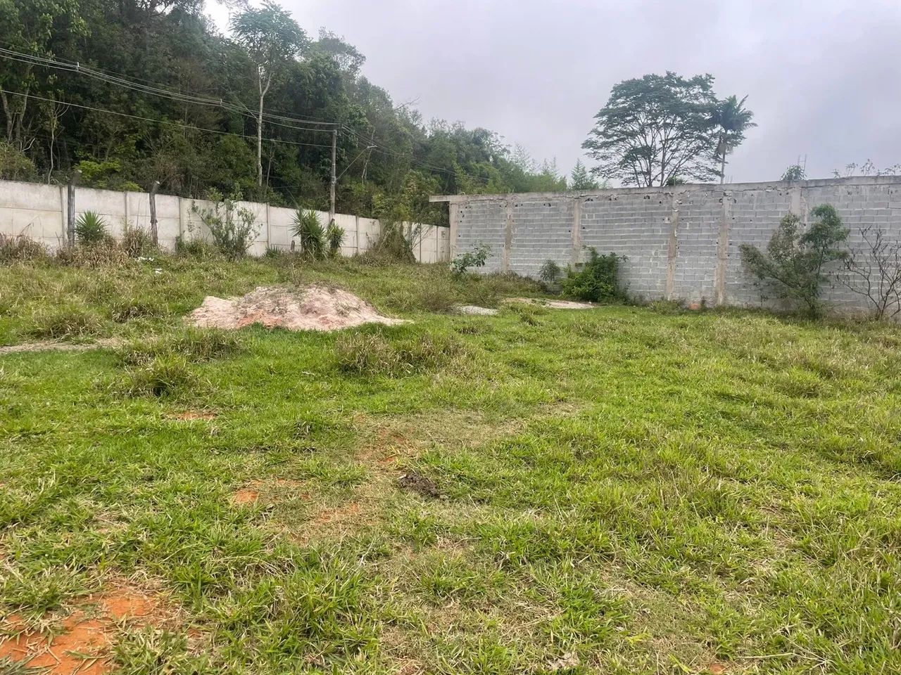 Terreno plano em área tranquila - Foto 4