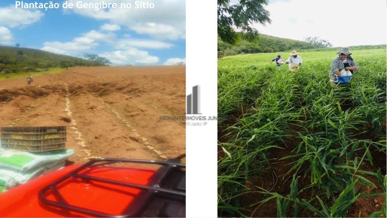 SÍTIO EM TAPIRAÍ BAIRRO GARCIAS TAPIRAÍ SP VENDA - Foto 4
