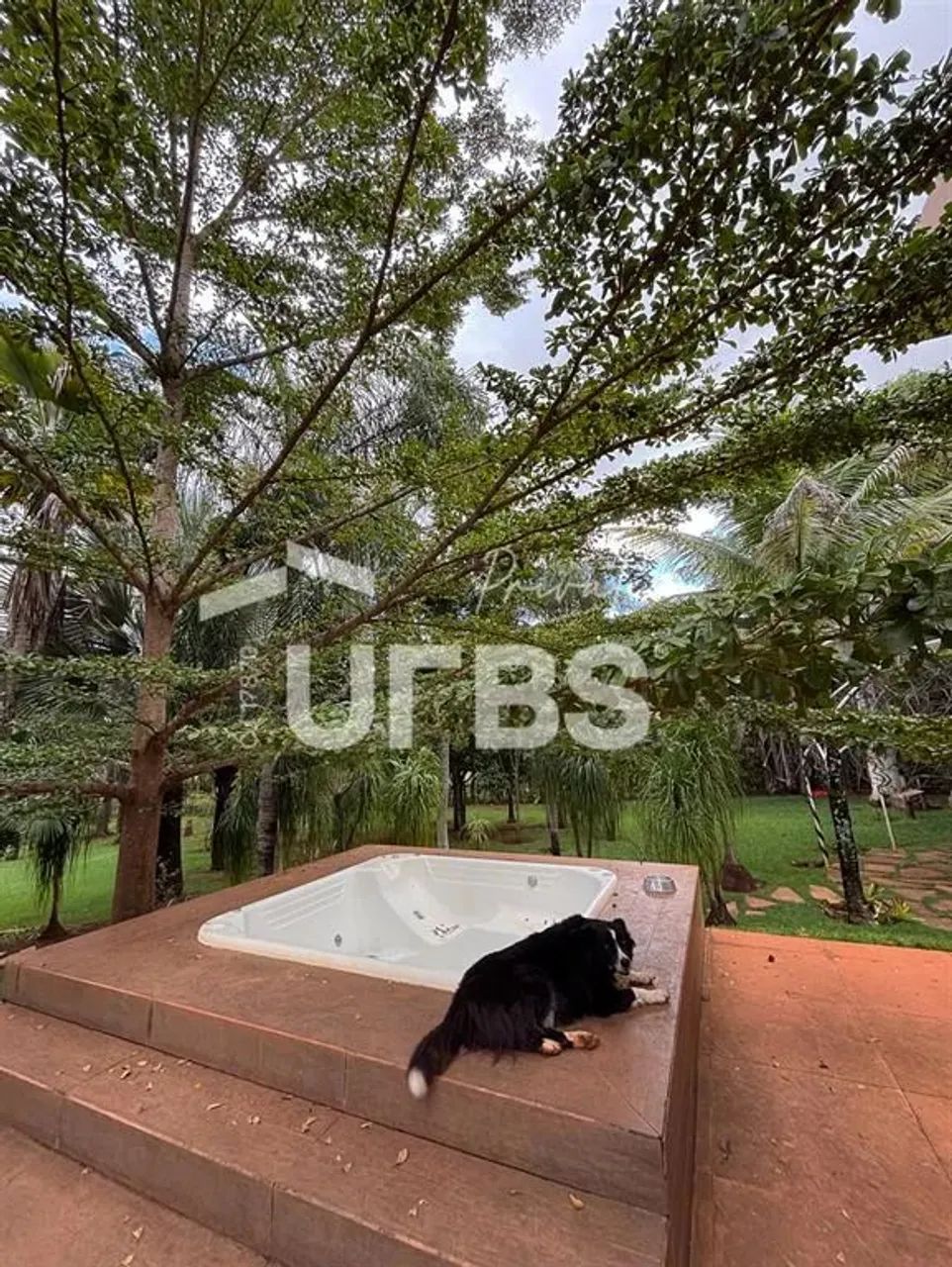 Chácara Alto da Boa Vista - Foto 13