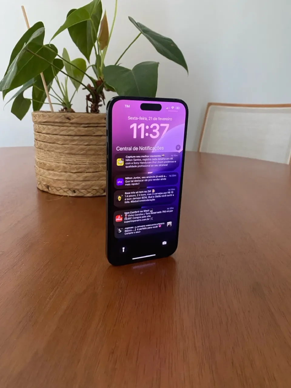 Iphone 14 Pro Max - Torrando!