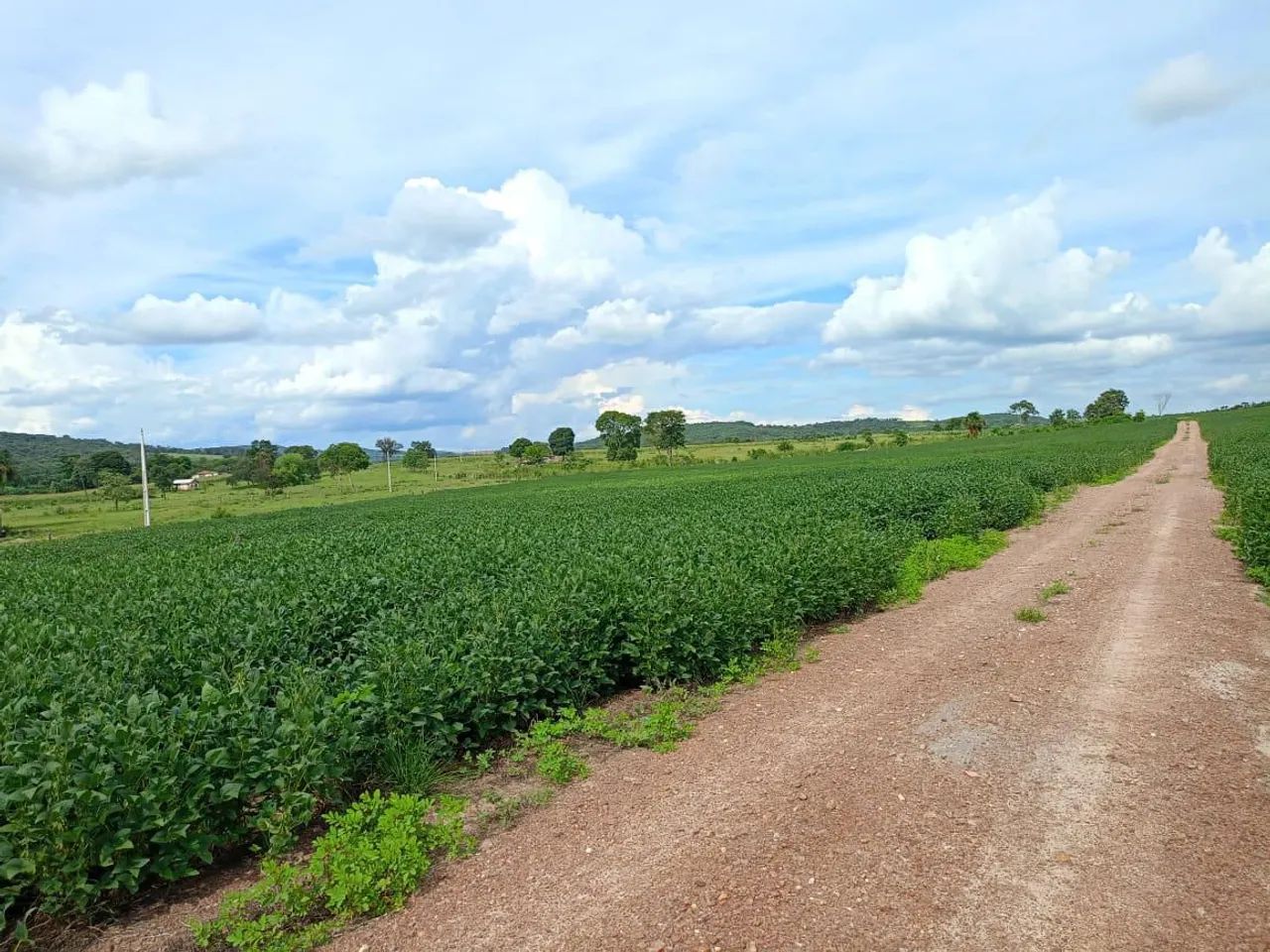 Ótima fazenda em Edéia  - Foto 3