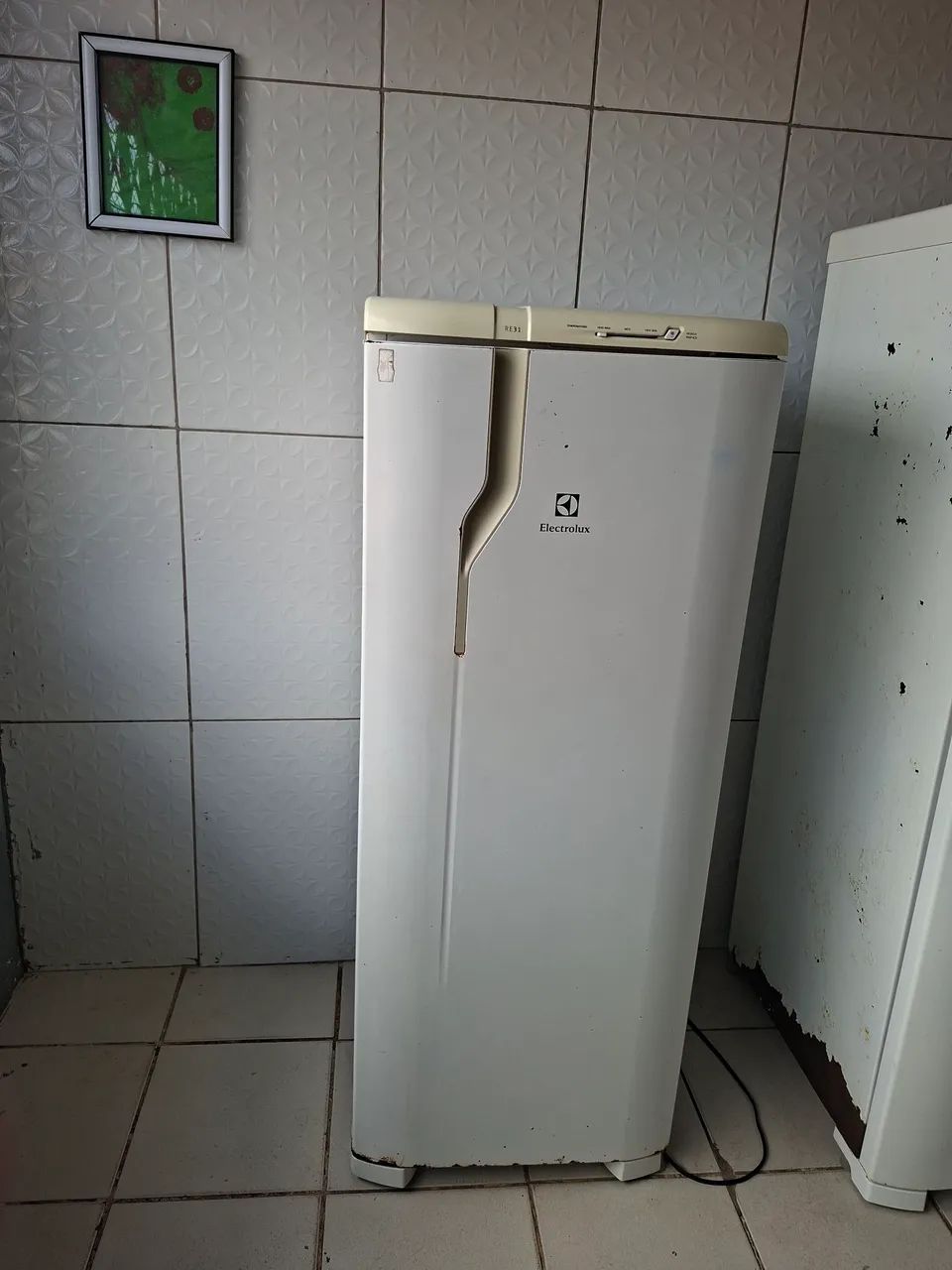 VENDO GELADEIRA ELETROLUX RE31