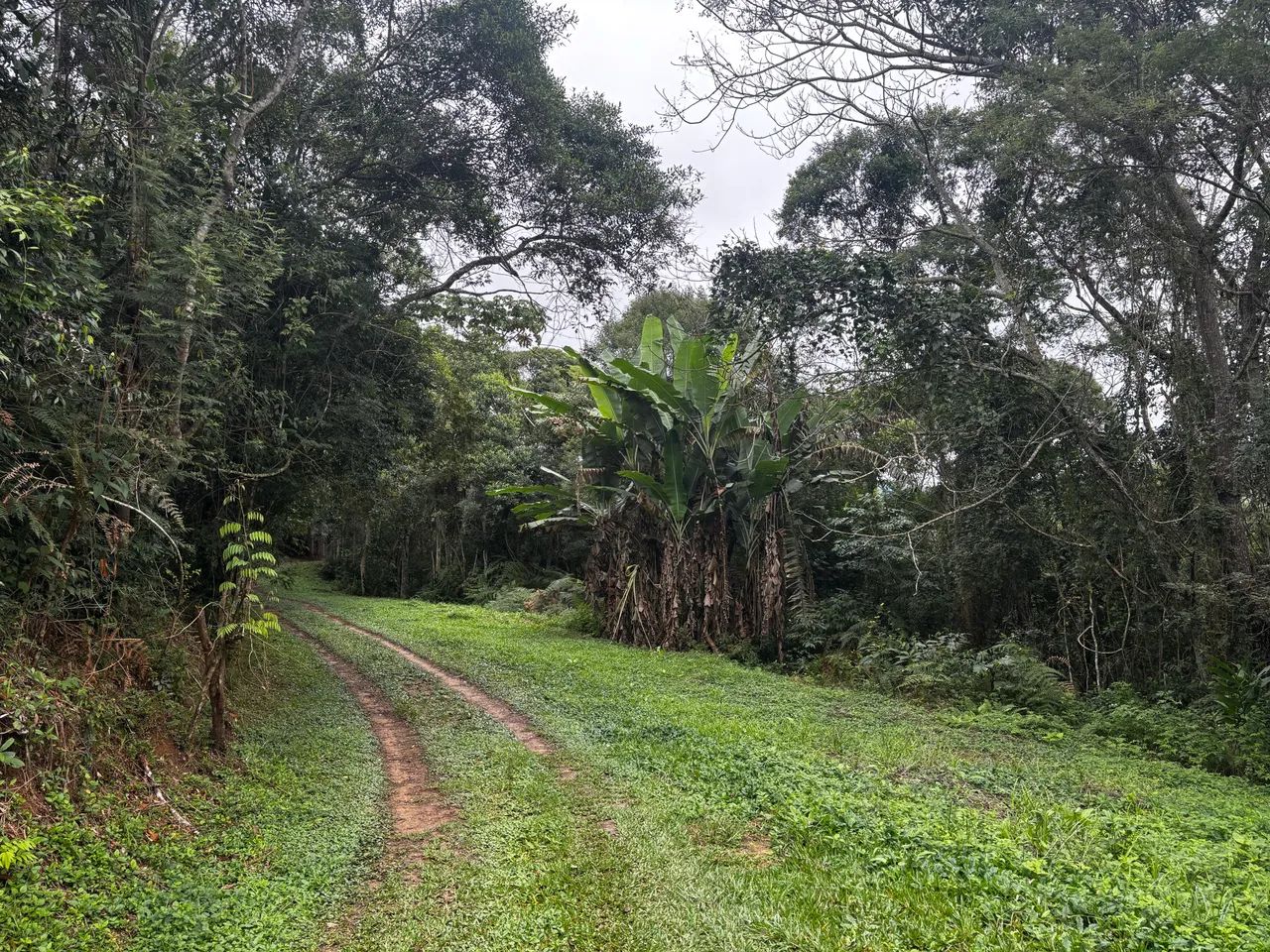 ABAIXEI PARA VENDER! VENDO TERRENO EM SÃO LOURENÇO DA SERRA - Foto 3