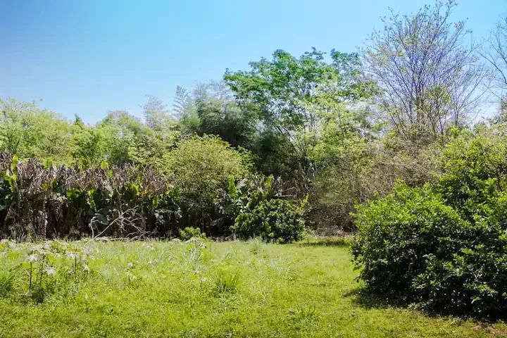Chácara de 4 ha com bosque, trilhas e decks no Rio Formoso, em Bonito - Foto 3