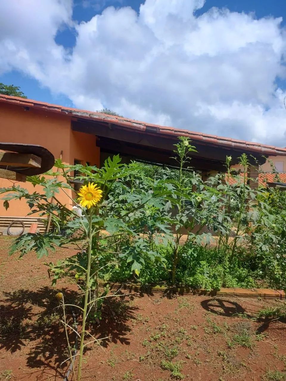 Sítio a venda em Funilândia  - Foto 5