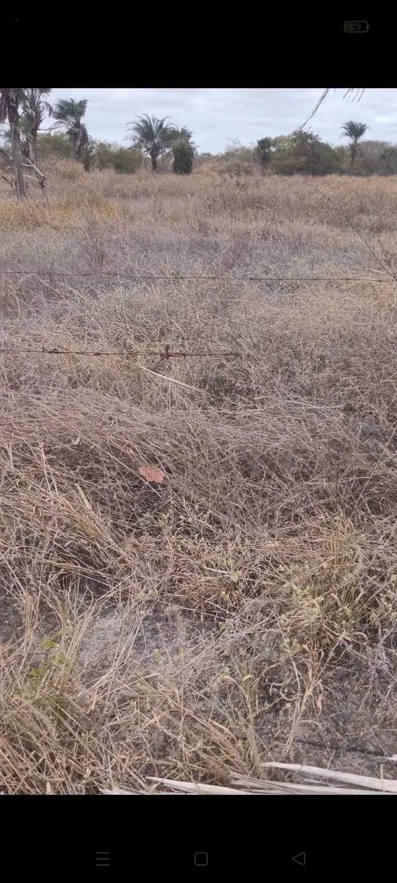 Terreno entre Paraíso e Junco  ( Valor a combinar)