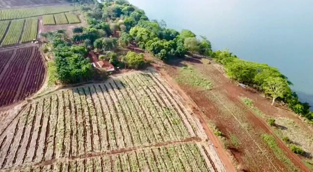 Área Rural à venda - Triângulo Mineiro - Foto 5