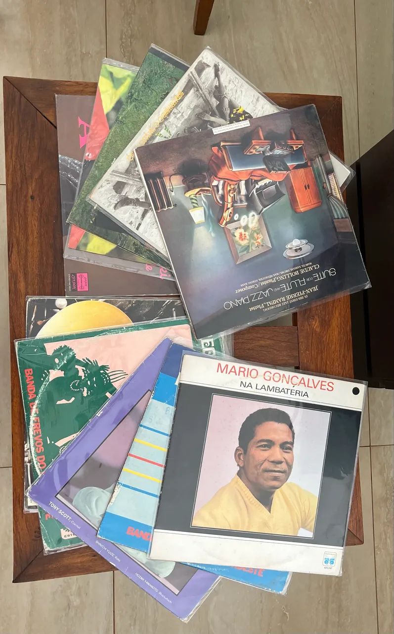Lote 10 discos de vinil variados 