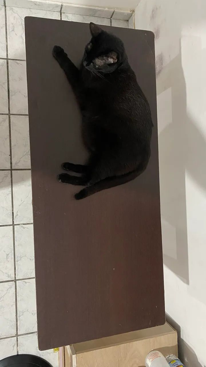 Mesa de Apoio - Foto 2