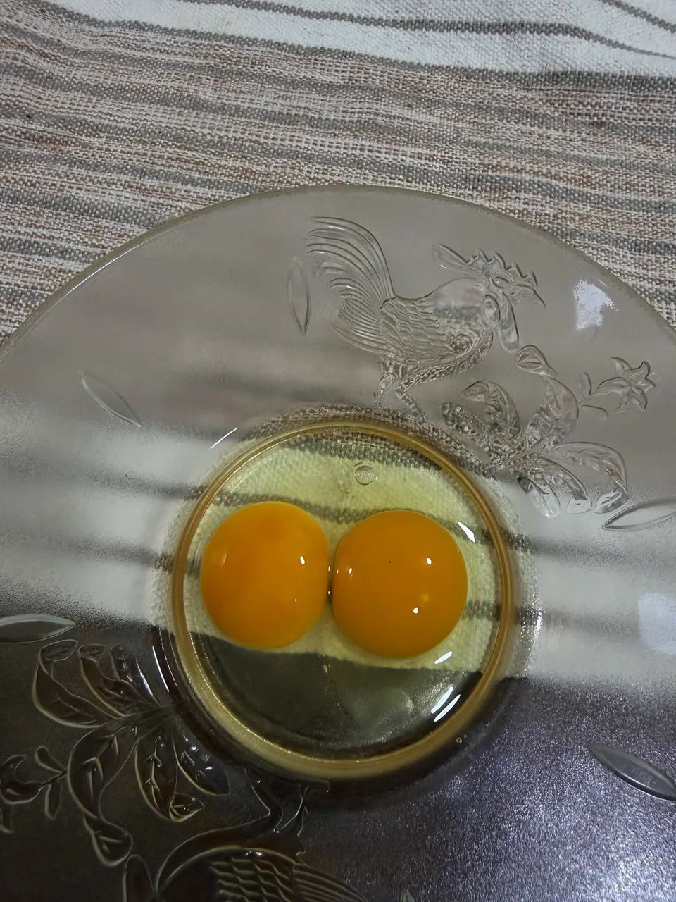 Ovos de galinha d angola  - Foto 3