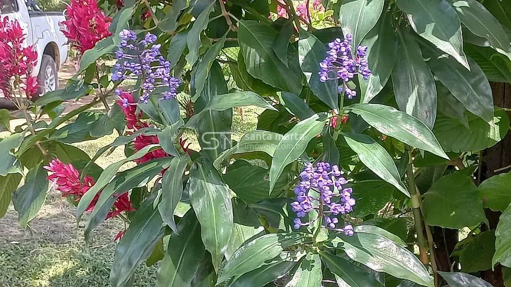 SÍTIO PLANO, COM CASA, PROXIMO À VIA DUTRA  LORENA  SP - Foto 5