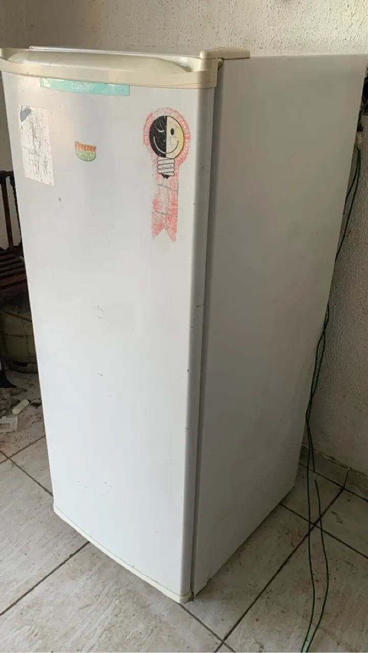 Selling a vertical freezer in perfect working condition. Delivery included in the listed price.