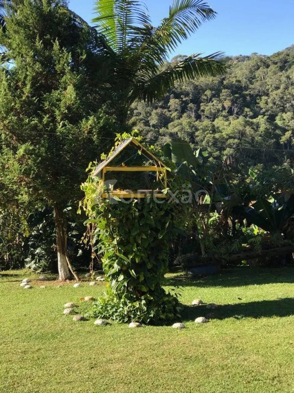 Sítio 4 alqueires à Venda  Centro de Paraibuna/SP - Foto 5
