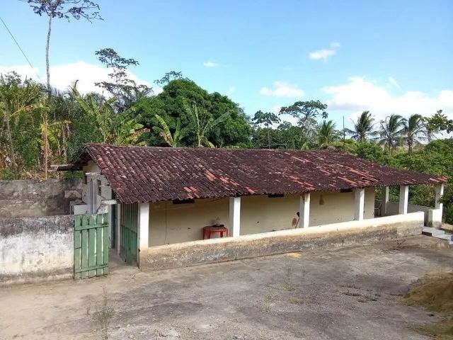 sitio em maribondo AL - Foto 5