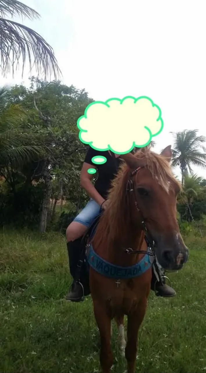 Terreno com registro rural em Saco Encantando, Salgado, Sergipe.  - Foto 4