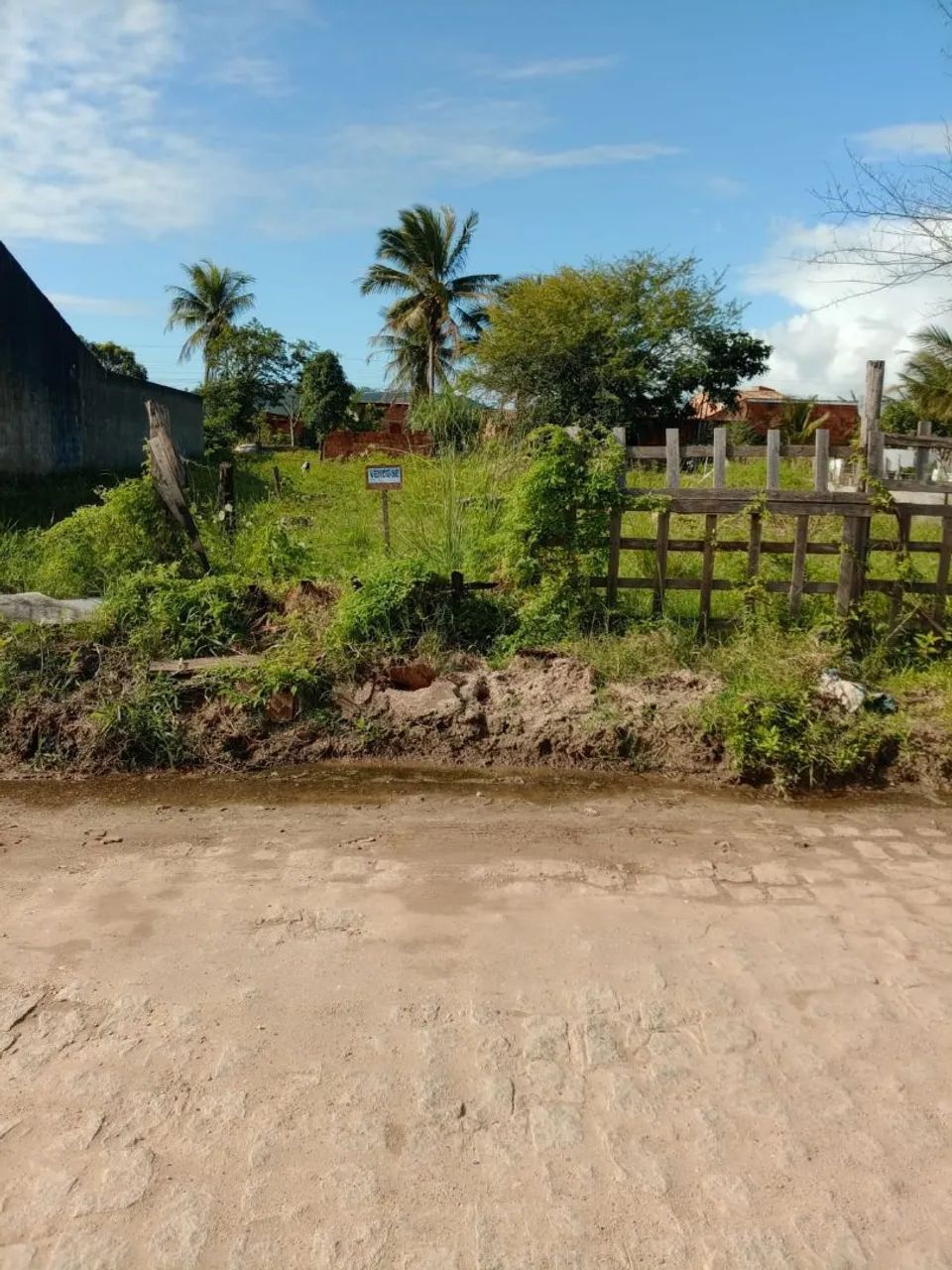 Terreno grande  - Foto 3