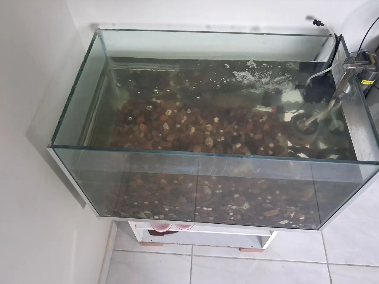 Aquario  - Foto 2