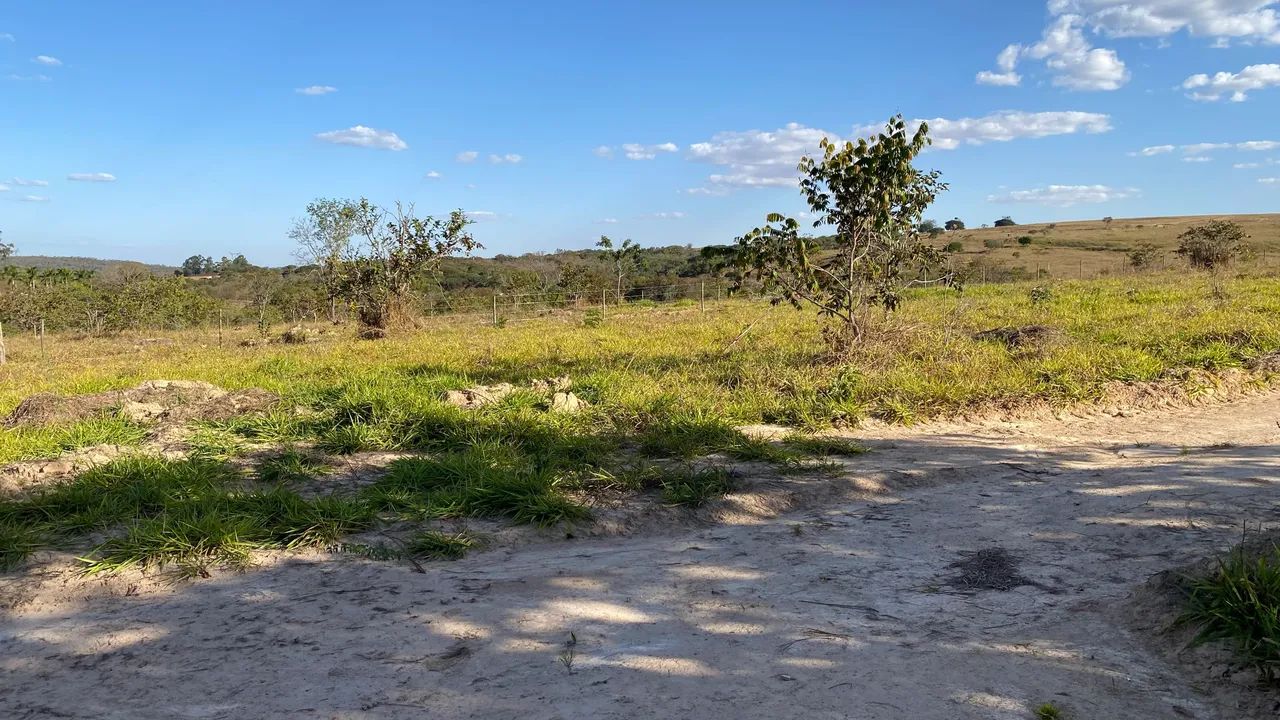 Chácara de 20mil mt. Com rio passa 4 cercadas e com energia! - Foto 2