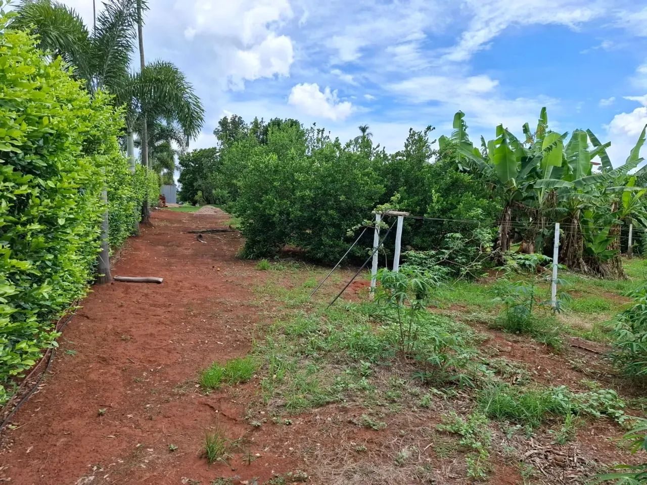 Lote condomínio Canaã - Terra Santa - Foto 2