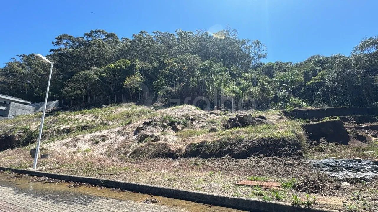 Terreno de 2481,95m² nos ingleses - Foto 3