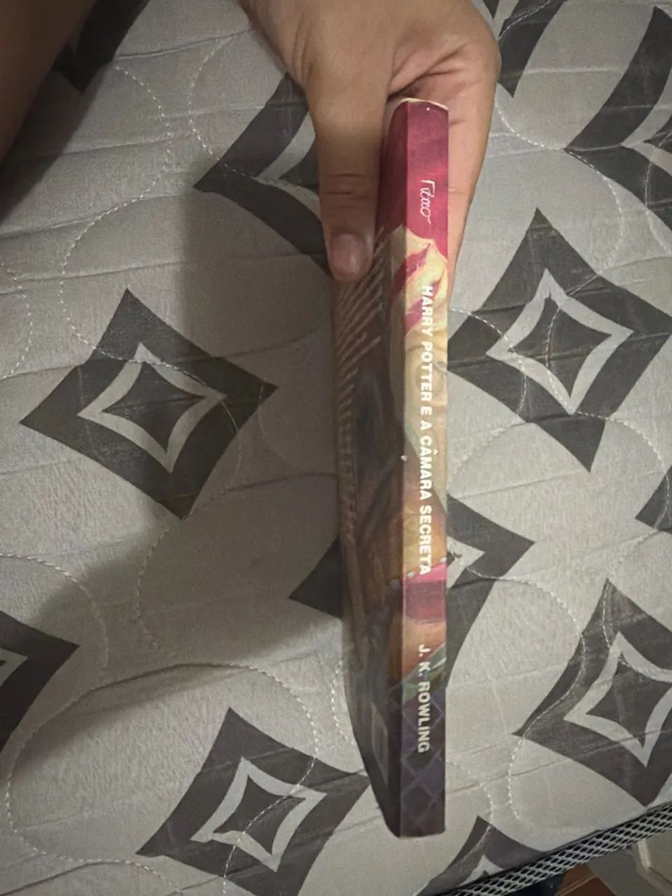 Harry potter e a câmera secreta  - Foto 3