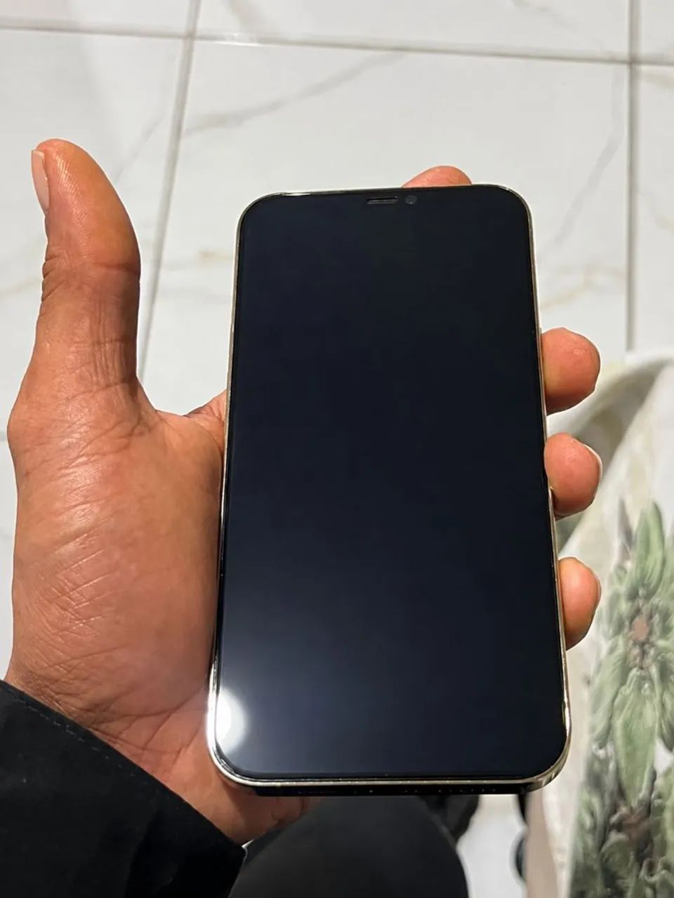 iPhone 12 pro Max 256Gb
