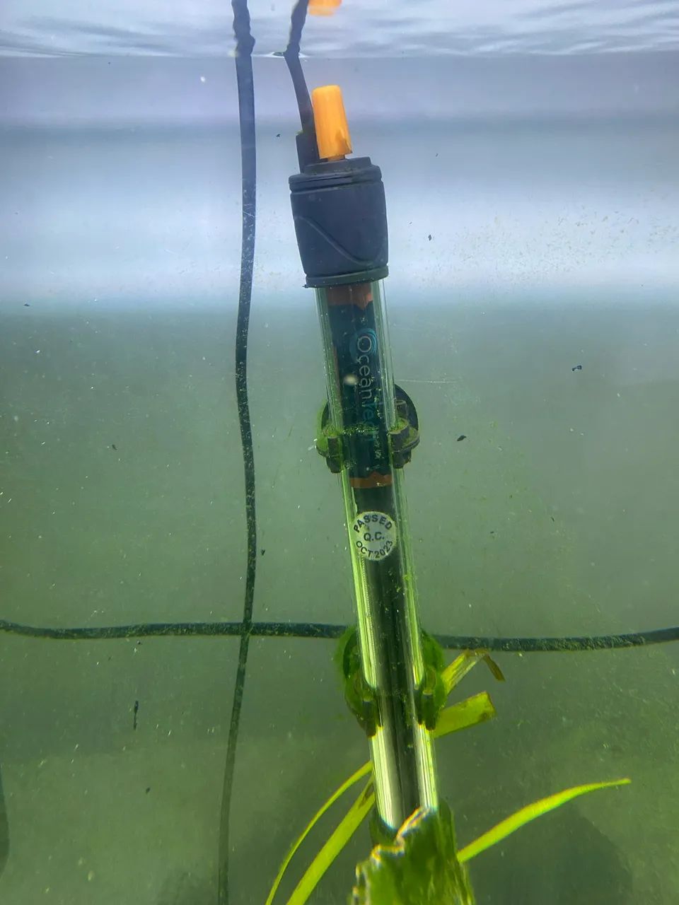 Vendo Aquário com estrutura metálica  - Foto 5