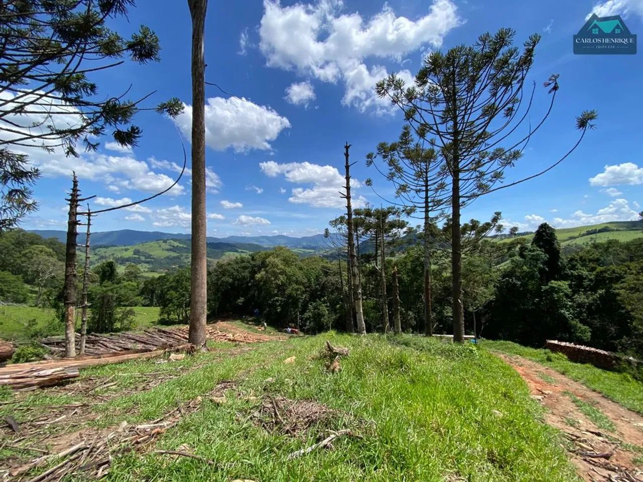 Sítio à Venda - Foto 4