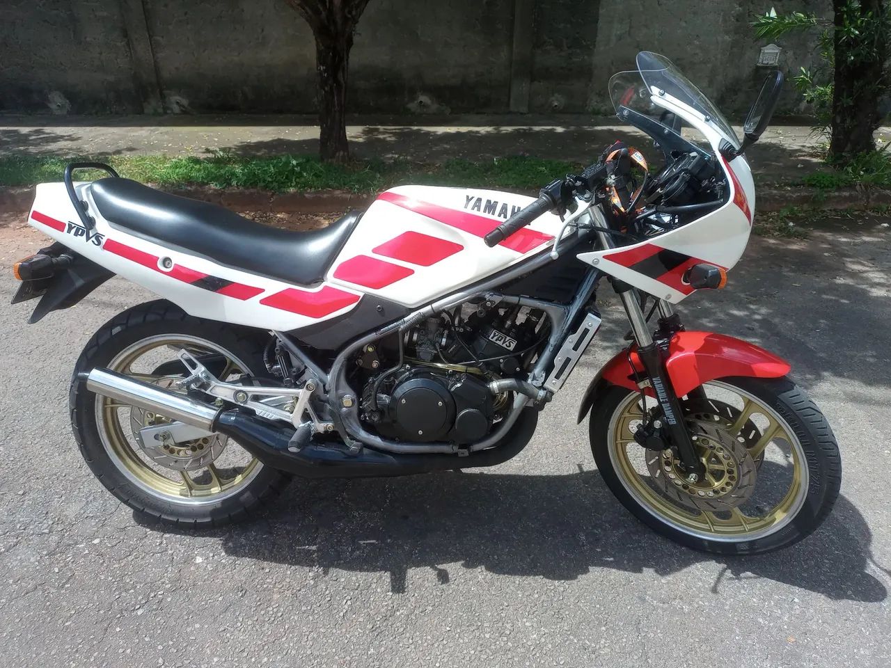 RD350 Padrão Original Branco Perolizada