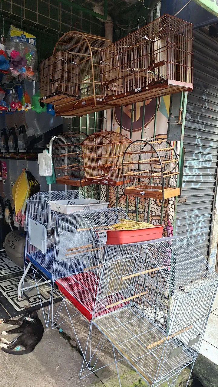 Viveiros gaiolas e assessórios  - Foto 2