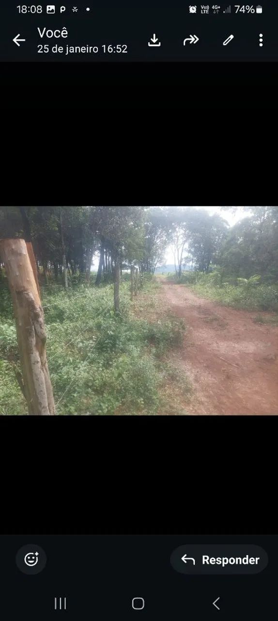Vendo lote na reta2 250m - Foto 2
