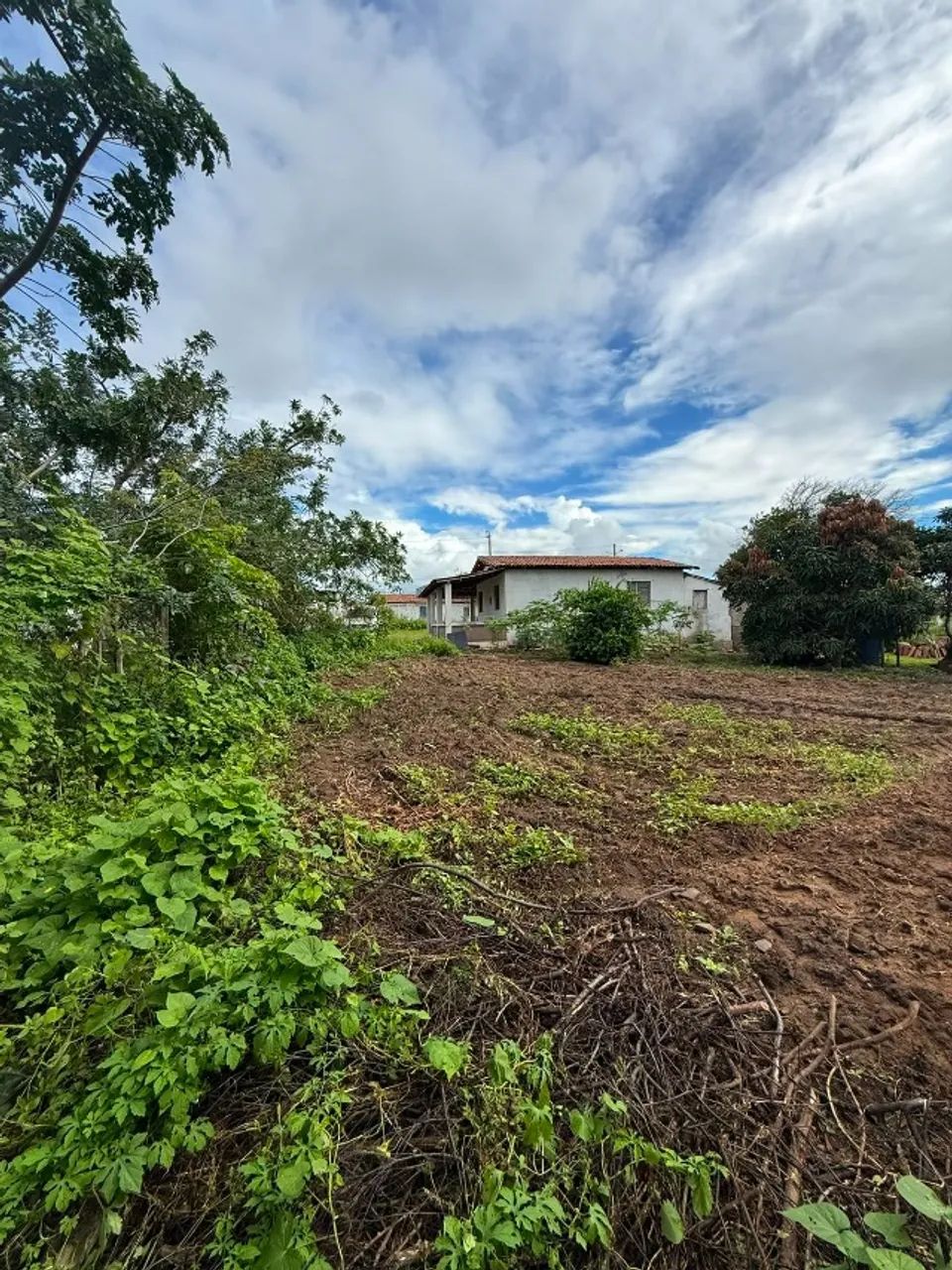 Casa Com Terreno na Serra Da Formiga em Riachuelo RN  - Foto 4