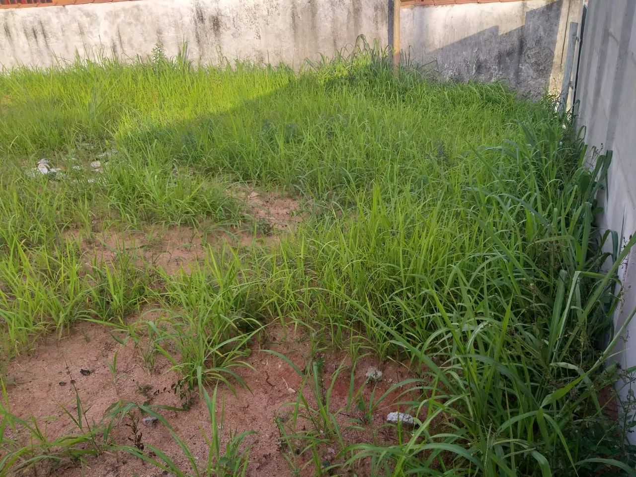 Terreno na Ponta da Fruta  - Foto 3