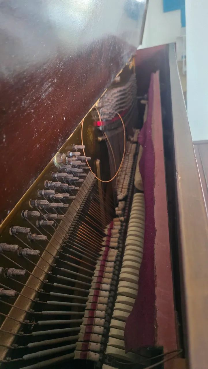 Piano Brasil - Foto 2