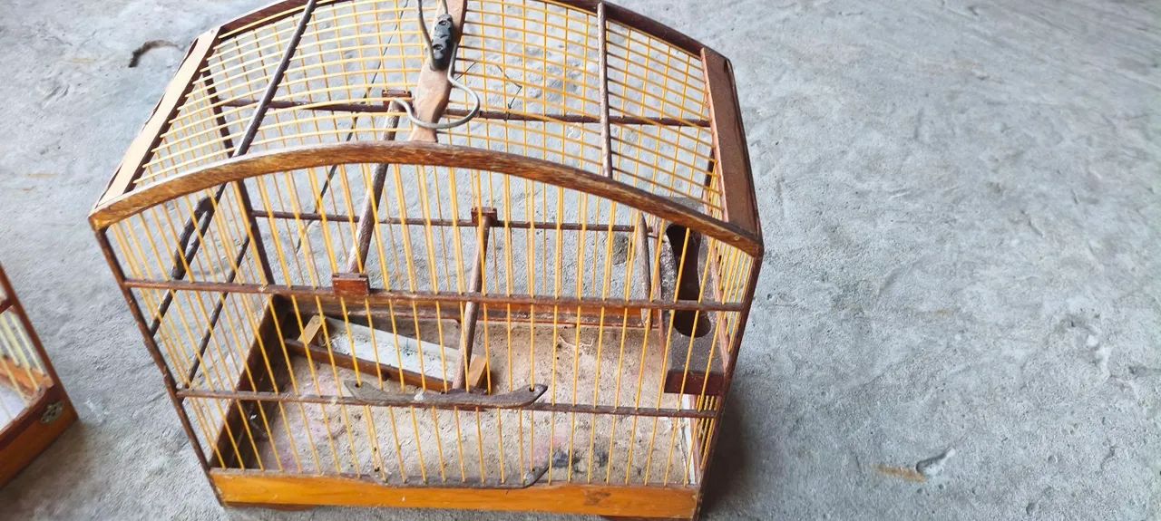 Vende-se voador e gaiola voador medindo 23/55 e a gaiola 18/33 - Foto 4