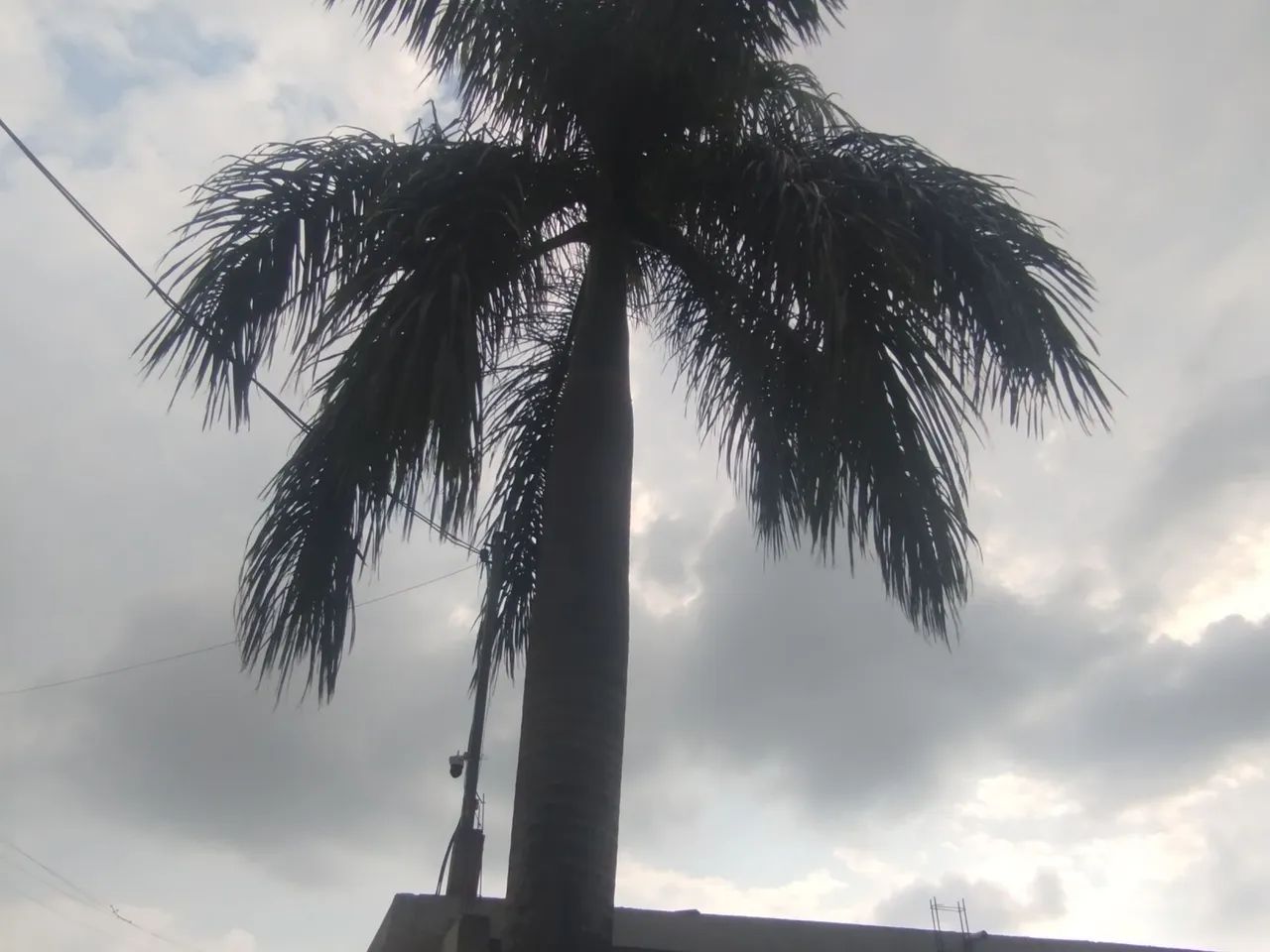 Terreno em Jardim Primavera  - Foto 5