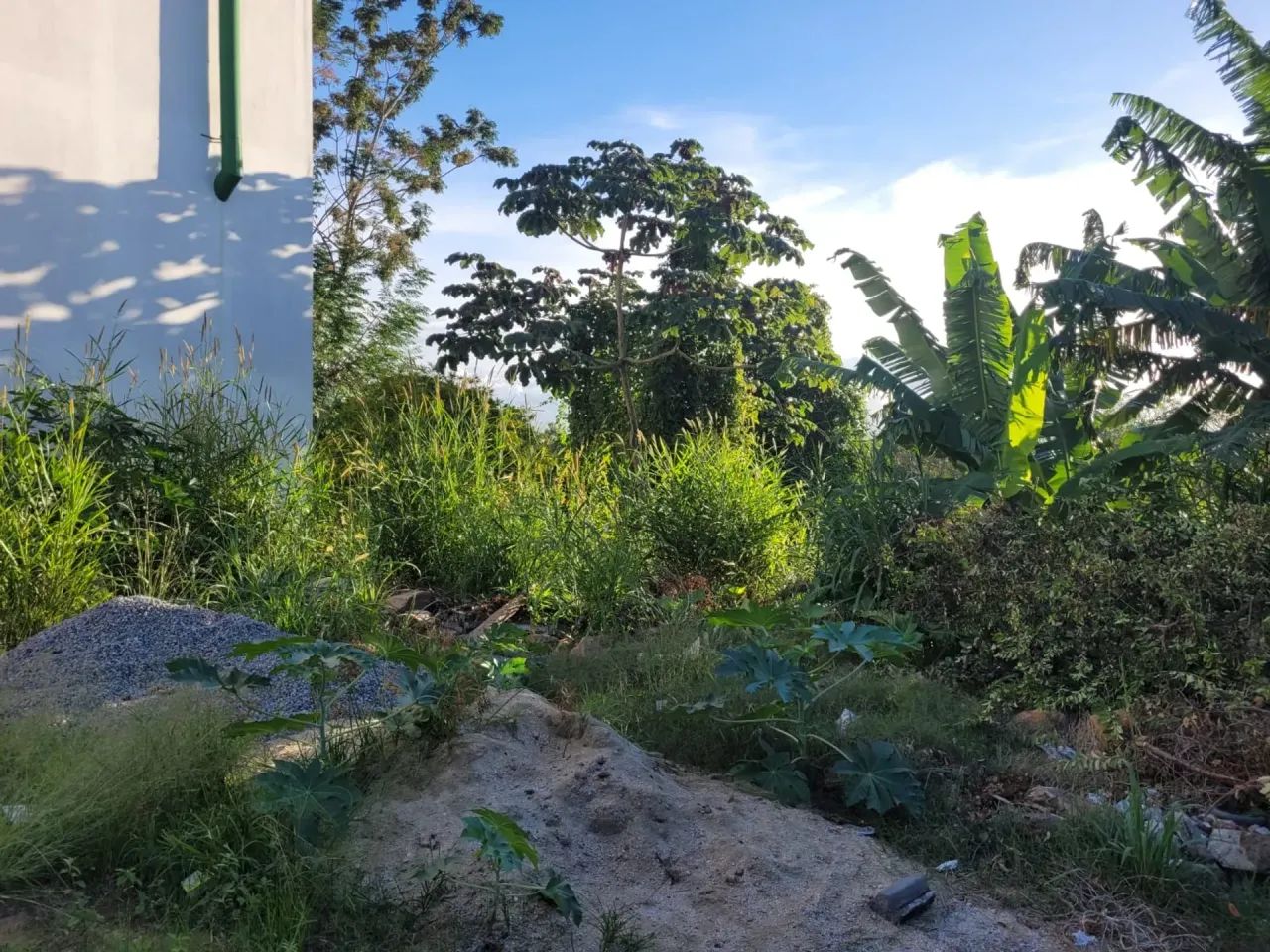 Terreno localizado na Agronômica com vista mar - Florianópolis - SC - Foto 5