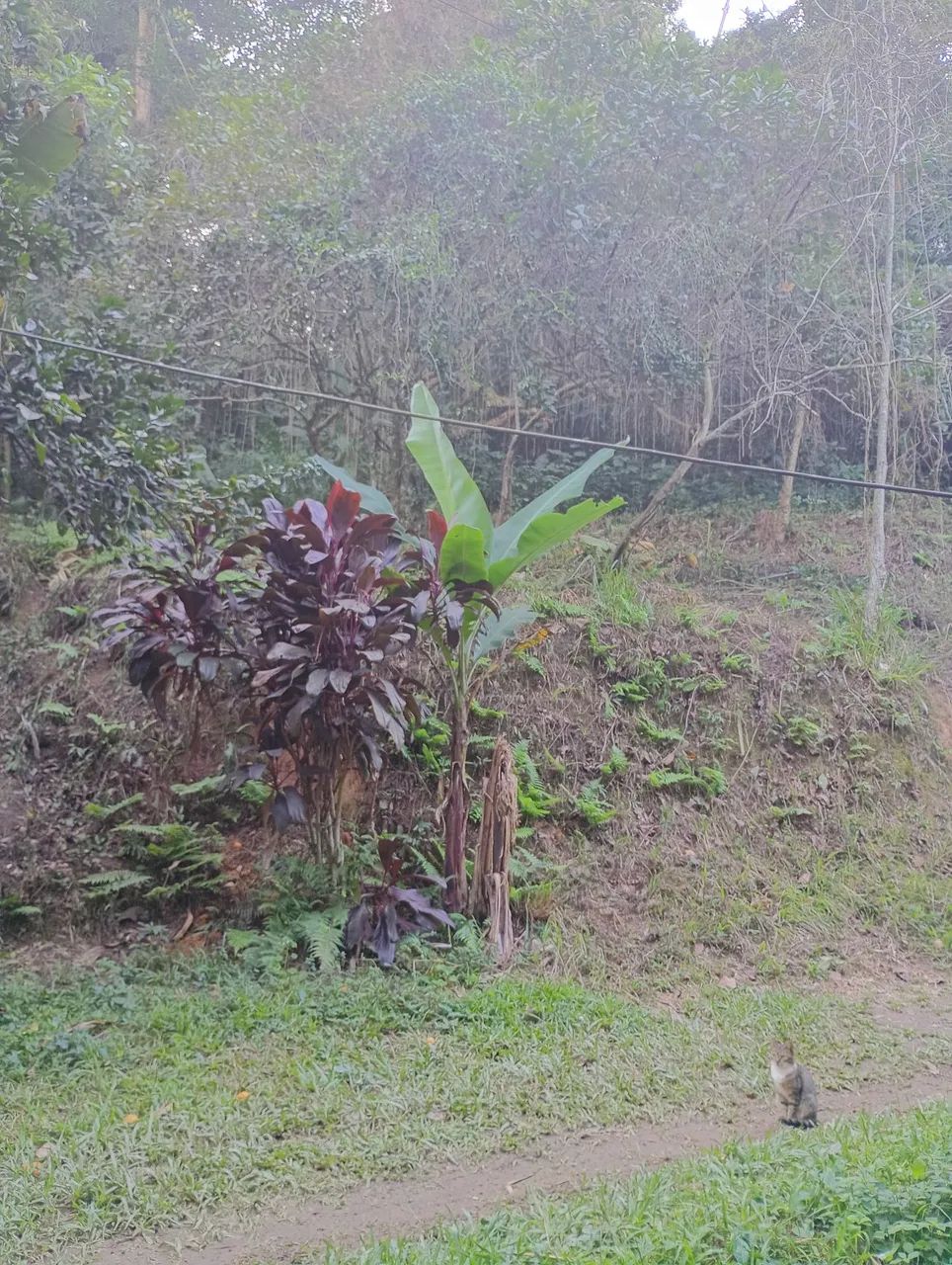 Lindo terreno a 1 km da prefeitura de Magé  - Foto 2