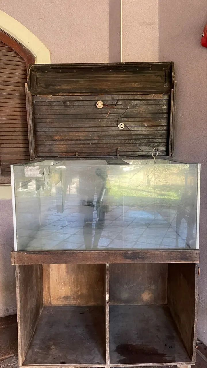Aquário  - Foto 2