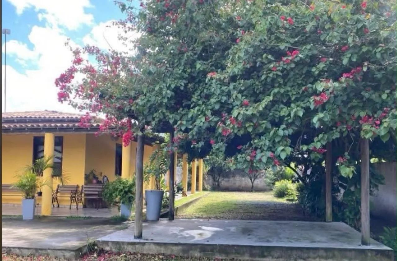 AR706 MINI SÍTIO EM CORAÇÃO DE MARIA  - Foto 5