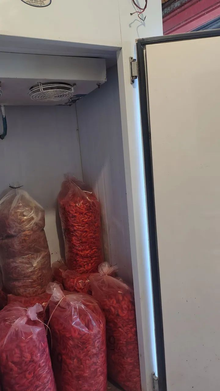 Câmera Fria  - Foto 2